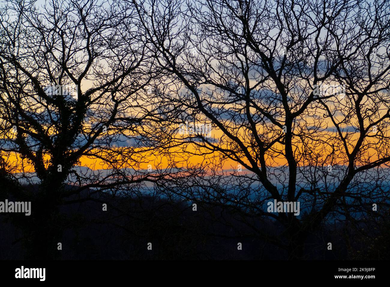Sonnenuntergang mit Bäumen im Winter in Ebersteinburg Foto Stock