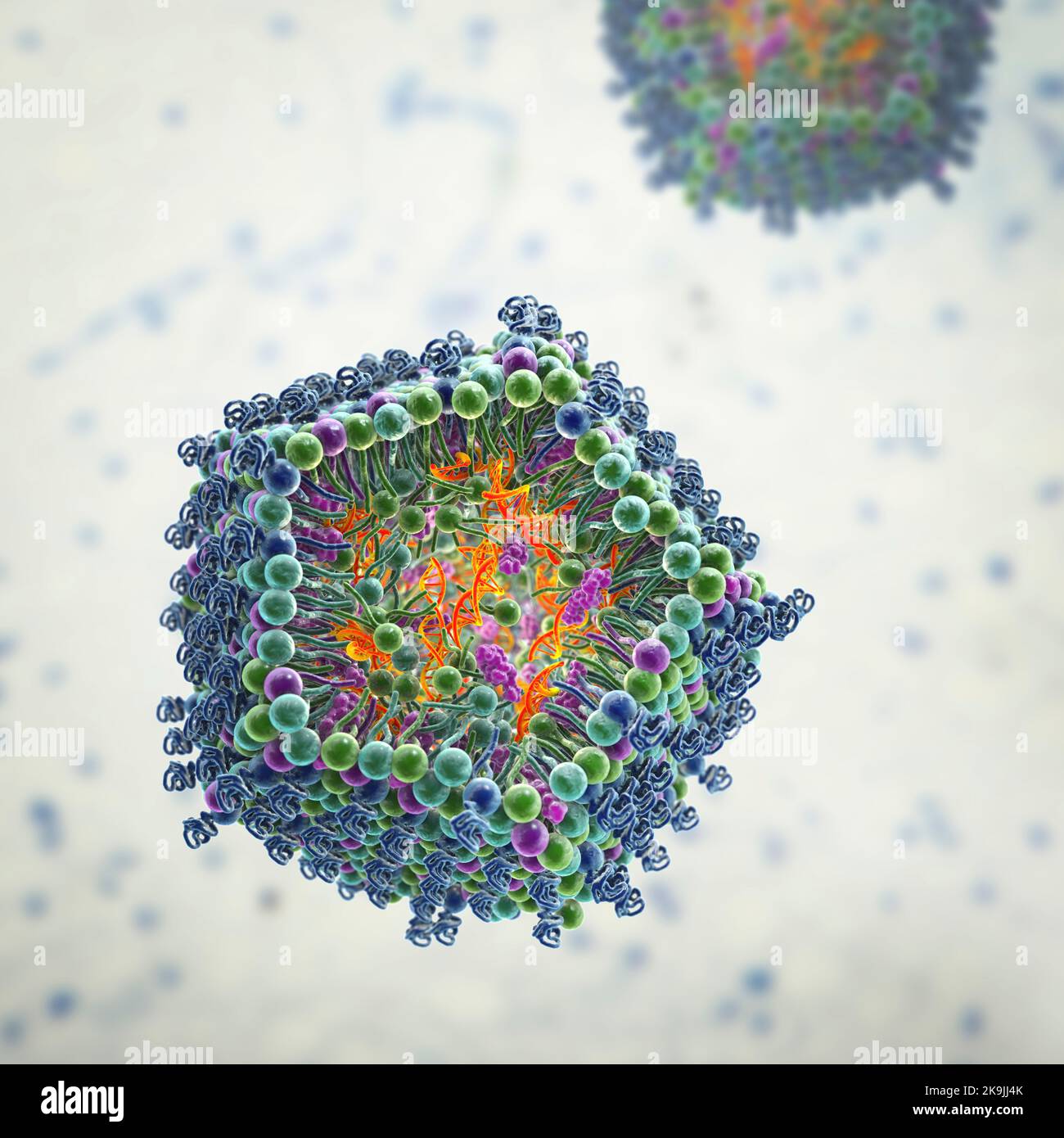 Nanoparticella lipidica di siRNA antivirale, illustrazione Foto Stock