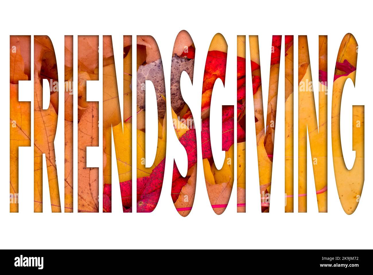 Foglie autunnali, oggetti con testo di amicizia. Motivi naturali, design a colori. Foto Stock