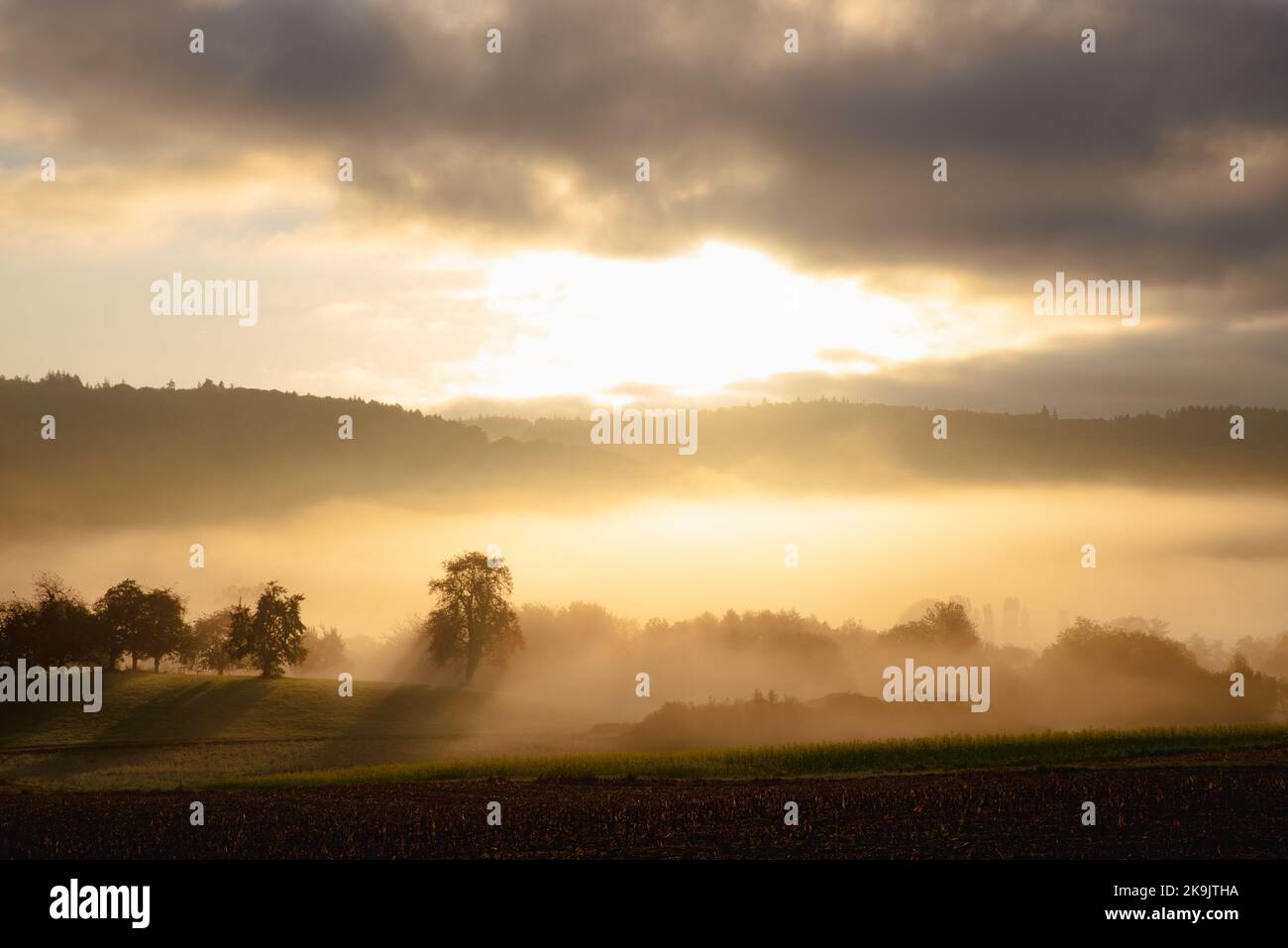 Paesaggio della Germania meridionale all'alba. Foto Stock