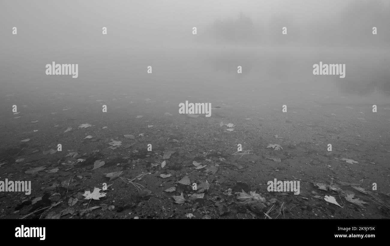 Stagno nebbia in autunno Foto Stock