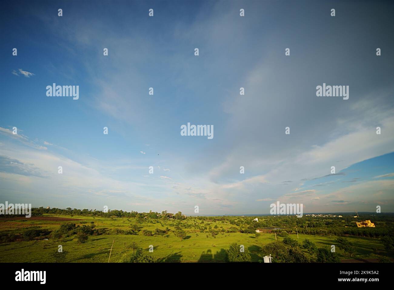 Drammatico paesaggio sfondo screen saver nuvole verde campi ampi spazi aperti piantagioni di foreste all'aperto rurale India Foto Stock