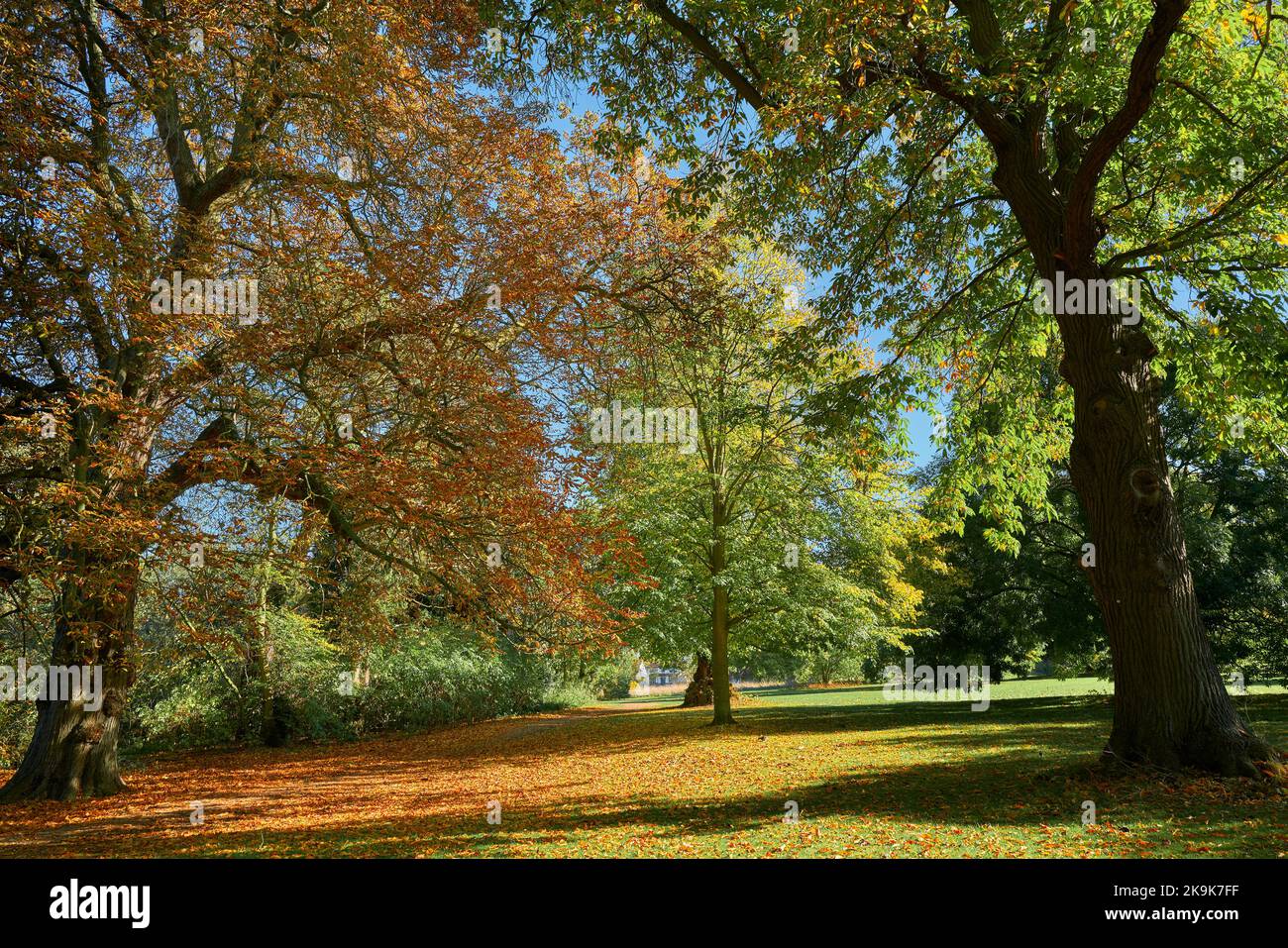 East Carton Park, Corby, Inghilterra, autunno 2022 Foto Stock