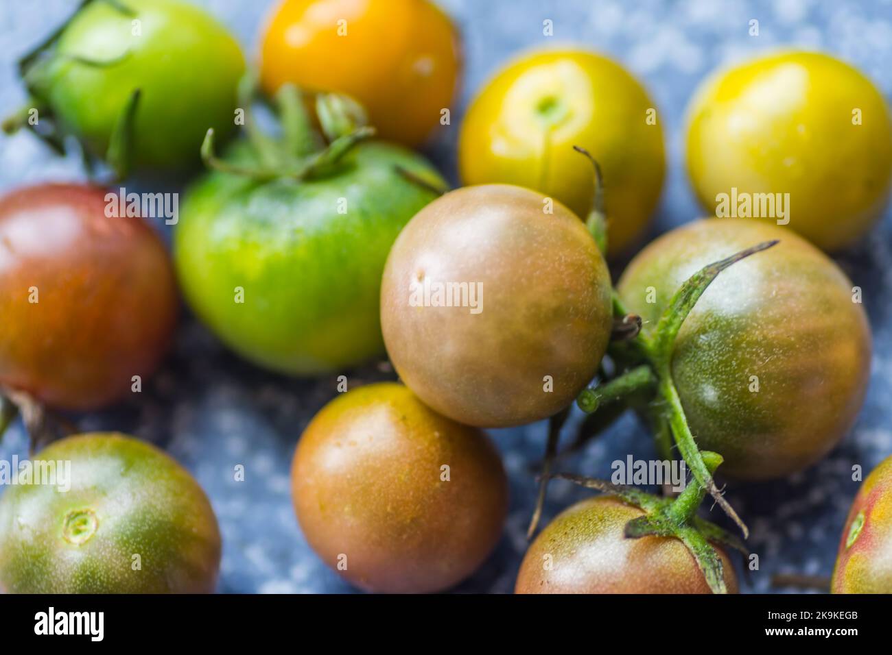 molti pomodori poco maturi con colori diversi nella vista di dettaglio Foto Stock