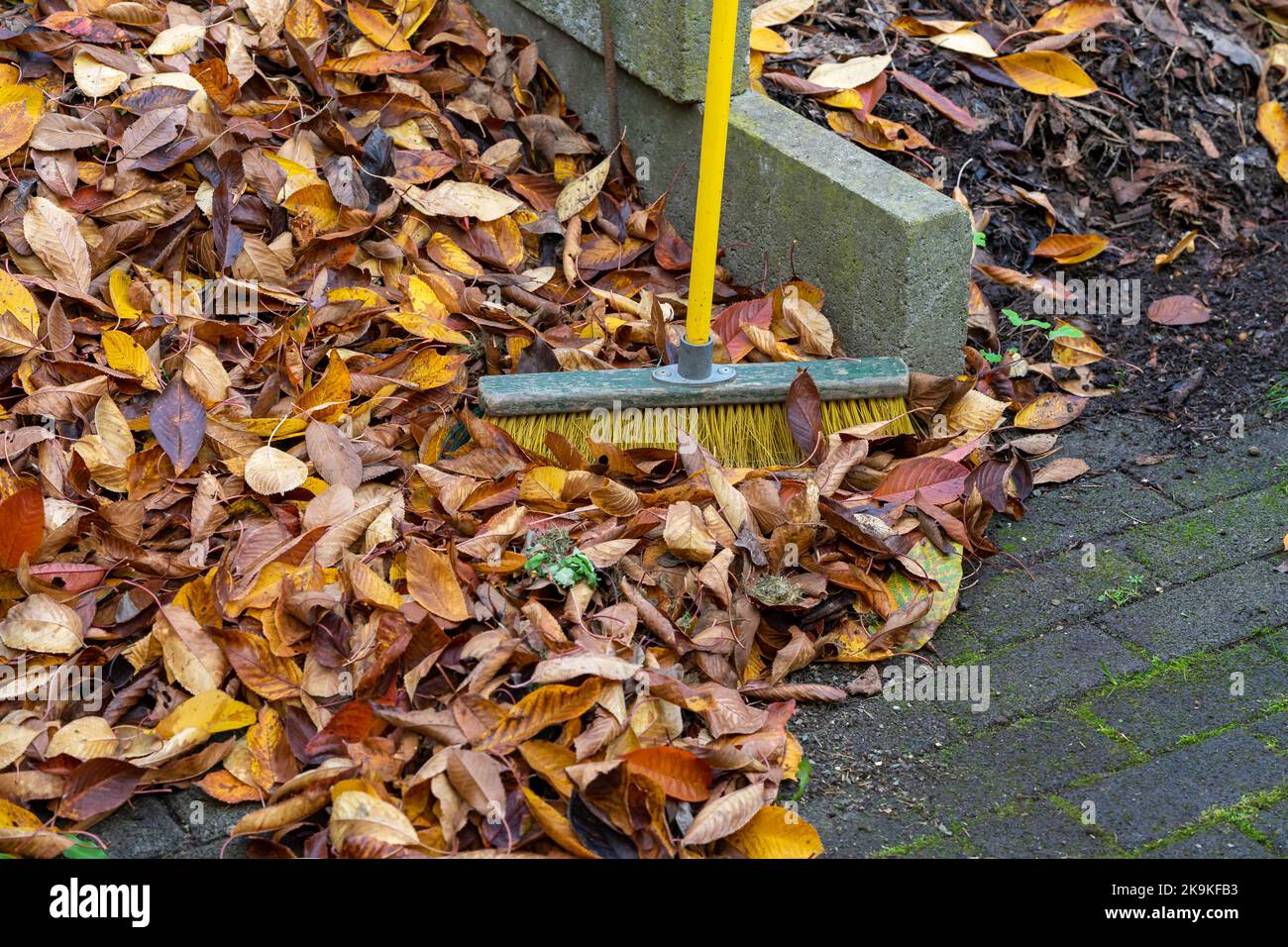 Fare foglie insieme in autunno Foto Stock