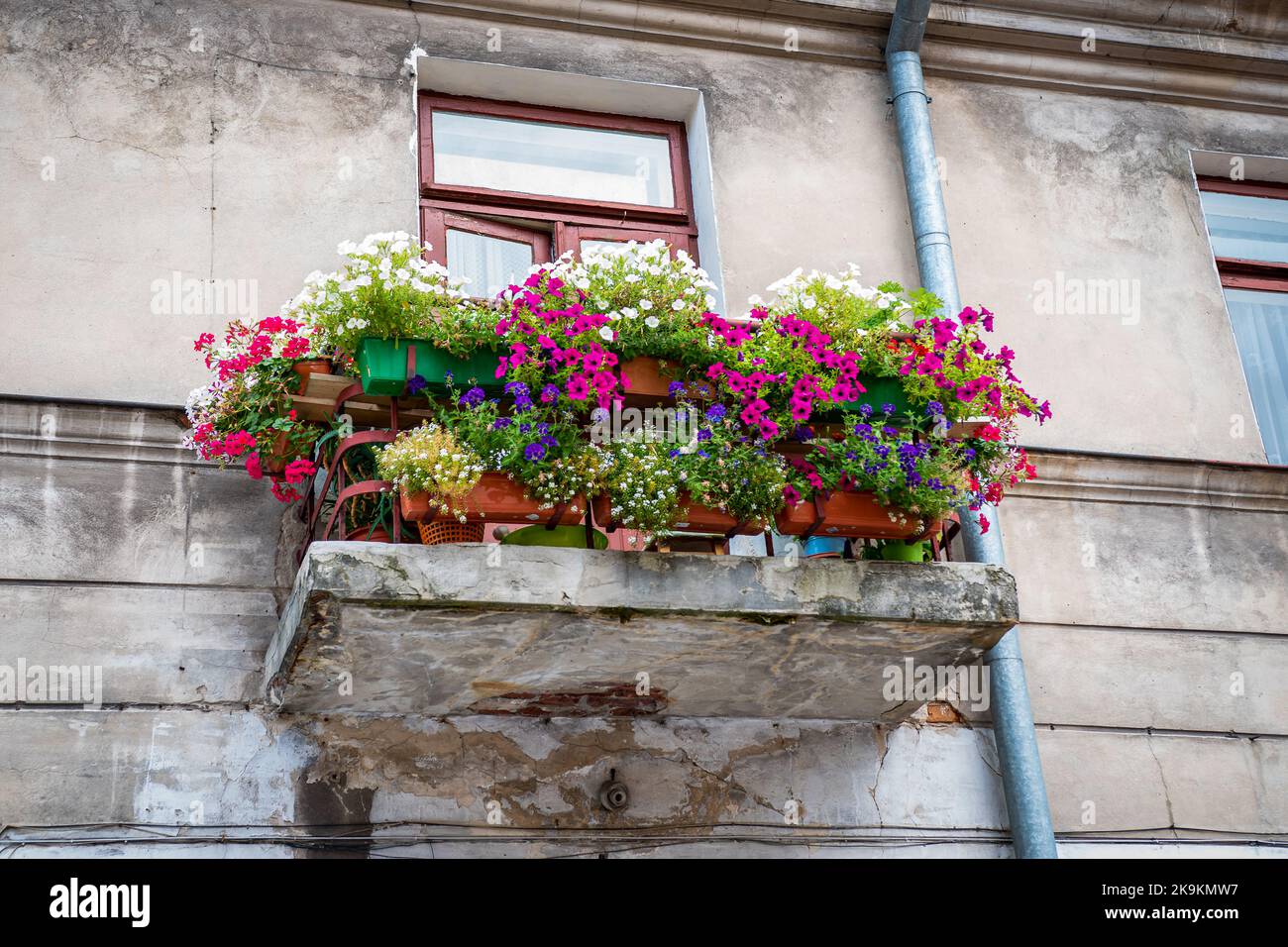 Vecchio balcone fatiscente pieno di bellissimi fiori colorati. Foto Stock