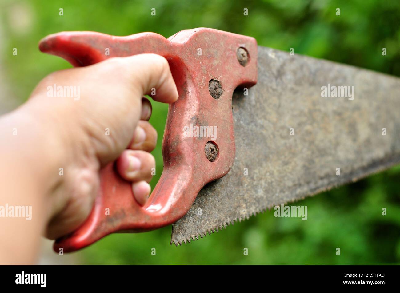 Tenendo un legno arrugginito ha visto la messa a fuoco selettiva sfocare verde foglie sfondo Foto Stock