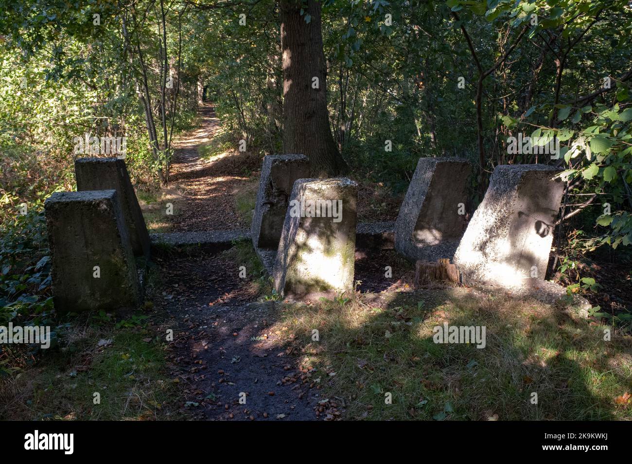 Leusden, Paesi Bassi - 06 ottobre 2022: Linea Grebbe (Grebbelinie). Barriera cisterna di cemento armato. Corse dal Grebbeberg a Rhenen in direzione nord fino a. Foto Stock