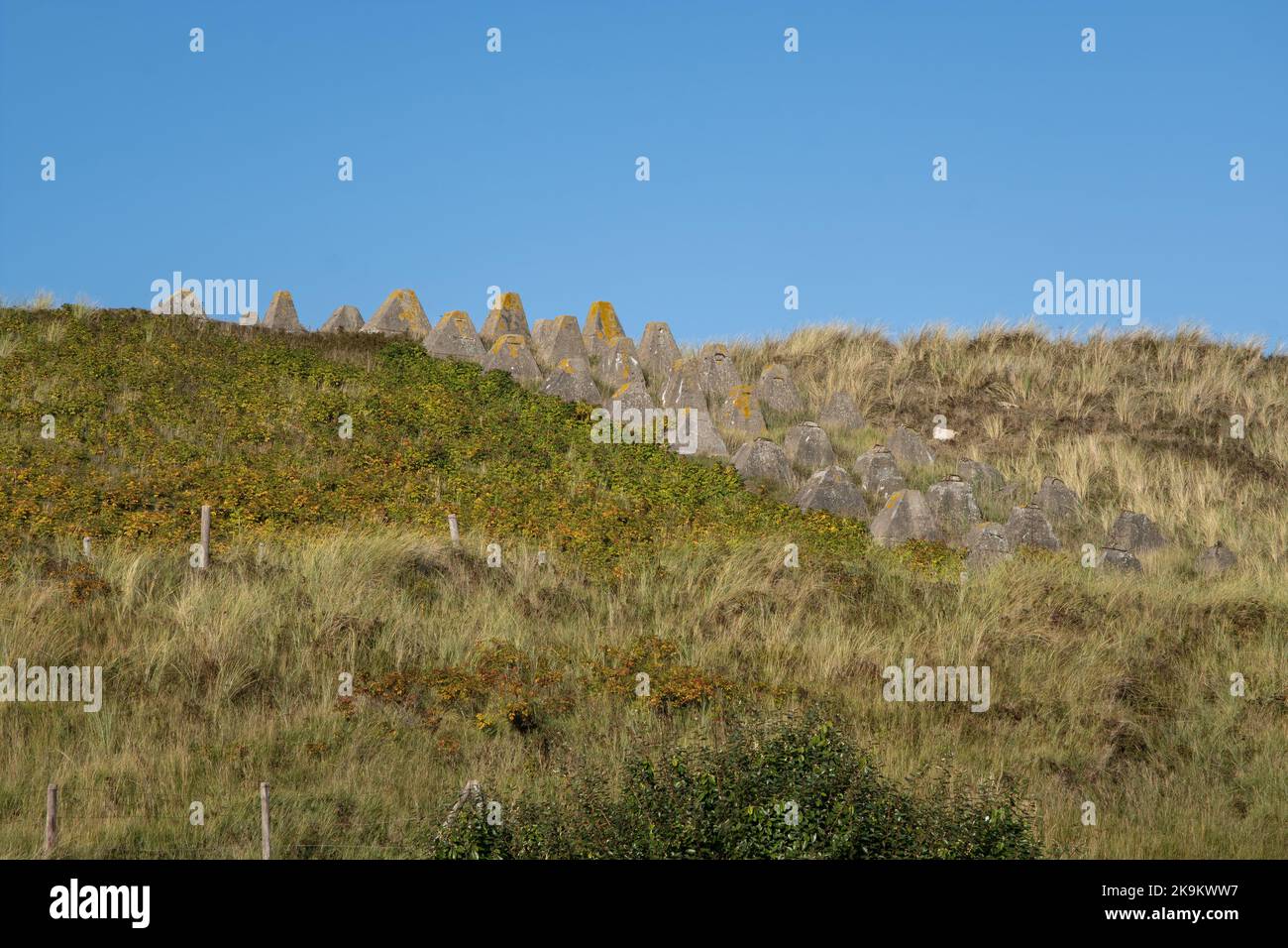 Julianadorp, Paesi Bassi - 12 ottobre 2022: Barriera cisterna tedesca (denti del Drago). Hockerlinie appartiene a Baupunkt 34, che faceva parte di Widerstandsnest 1 Foto Stock