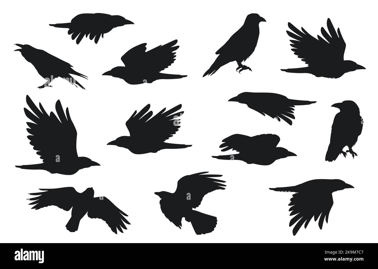Silhouette a corvo. Gruppo di corvi volanti con piume di becco, creativi uccelli gotici neri per la decorazione di Halloween. Set con isolamento vettoriale Illustrazione Vettoriale
