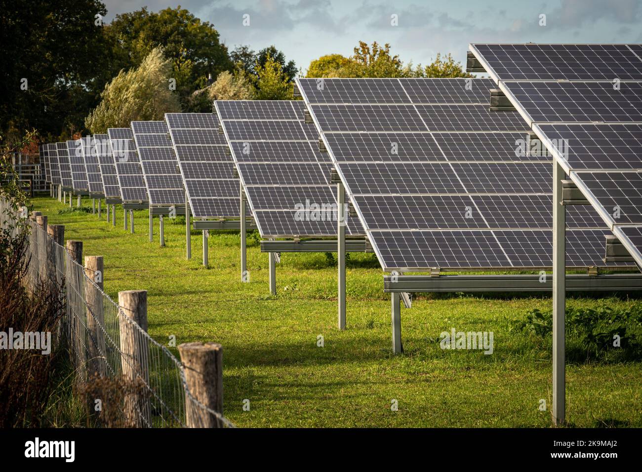 Campo con celle solari, grande parco di pannelli solari nei Paesi Bassi Foto Stock