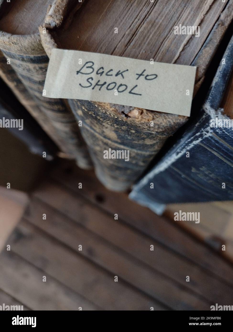 Torna a scuola tag, concetto creativo Foto Stock