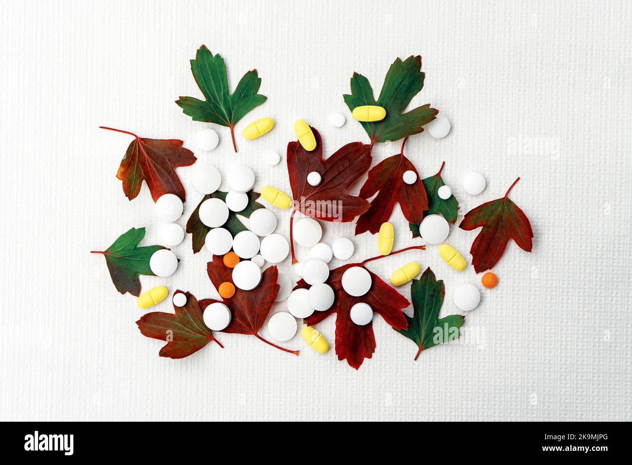 Compresse di erbe omeopatiche con piante su sfondo bianco. Foto Stock