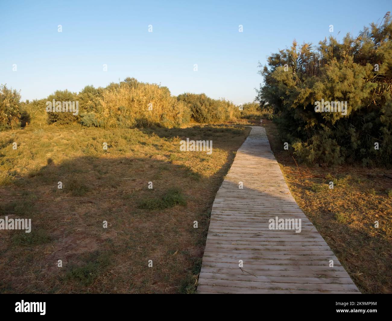 Riserva delle zone umide Azraq, passerella intorno al lago, Giordania, ottobre 2022 Foto Stock