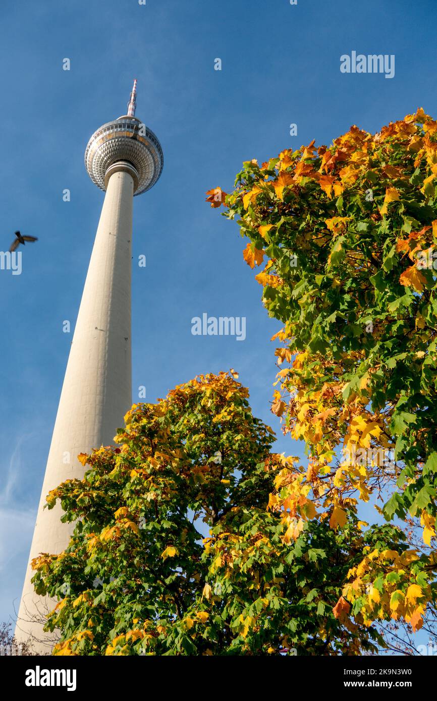 Fersehturm, Alexanderplatz, Herbst, Berlino Foto Stock