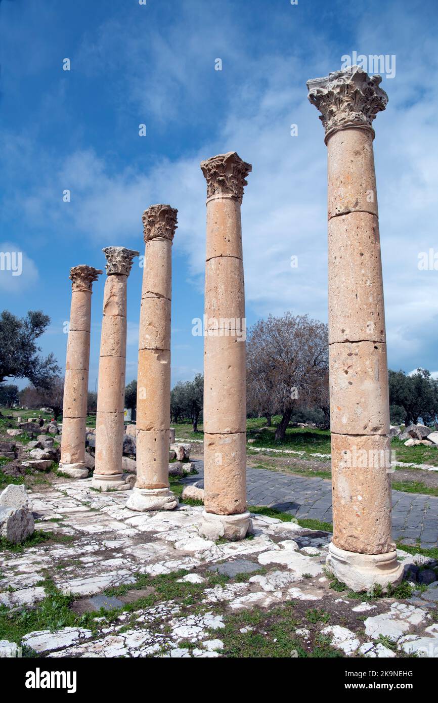 Colonne romane Umm Qais (Gadara) Giordania 1 Foto Stock