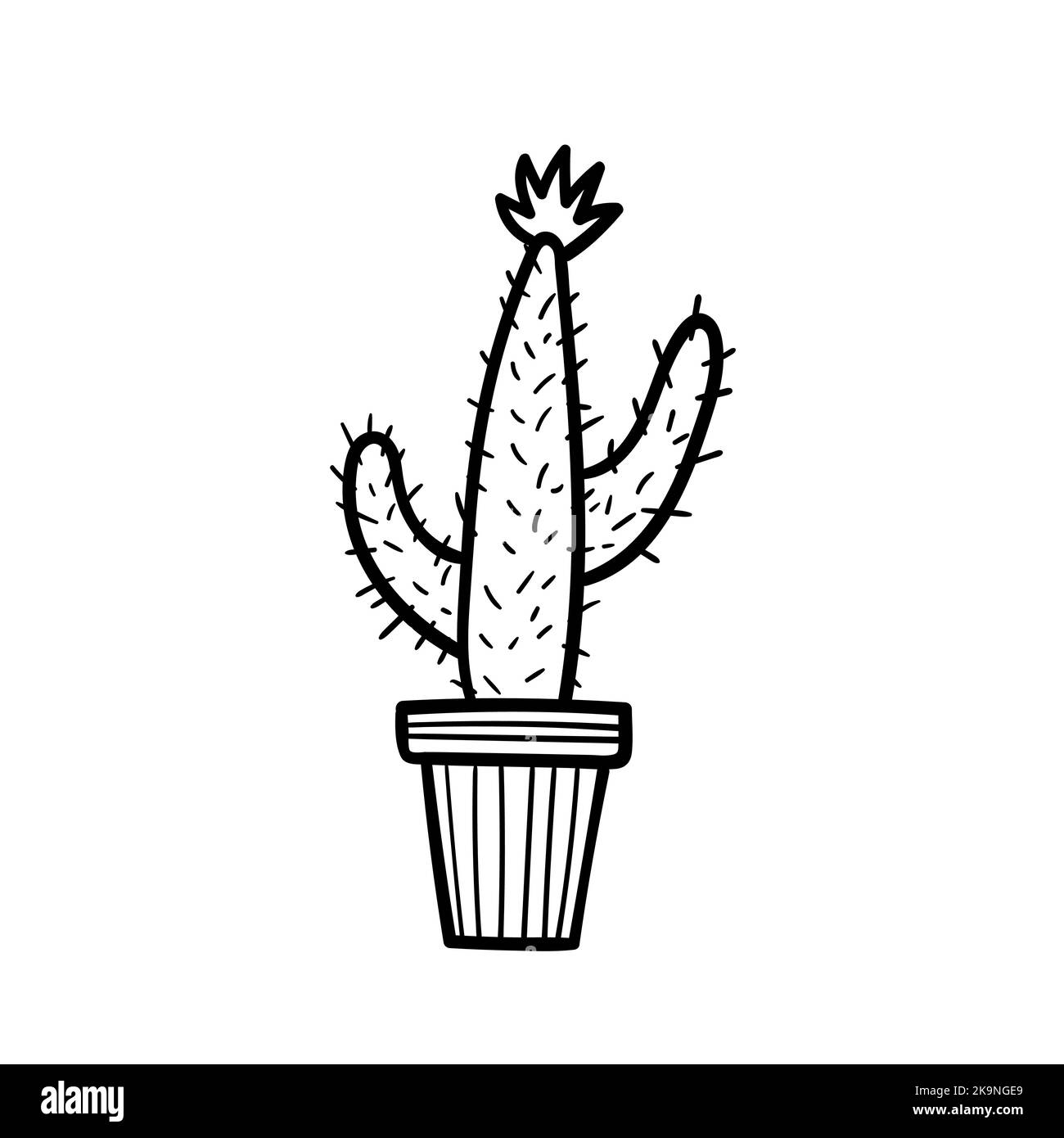 Illusione vettoriale stile cartone animato. Pianta di casa di Cactus in vaso floreale. Elemento del libro da colorare. Illustrazione Vettoriale