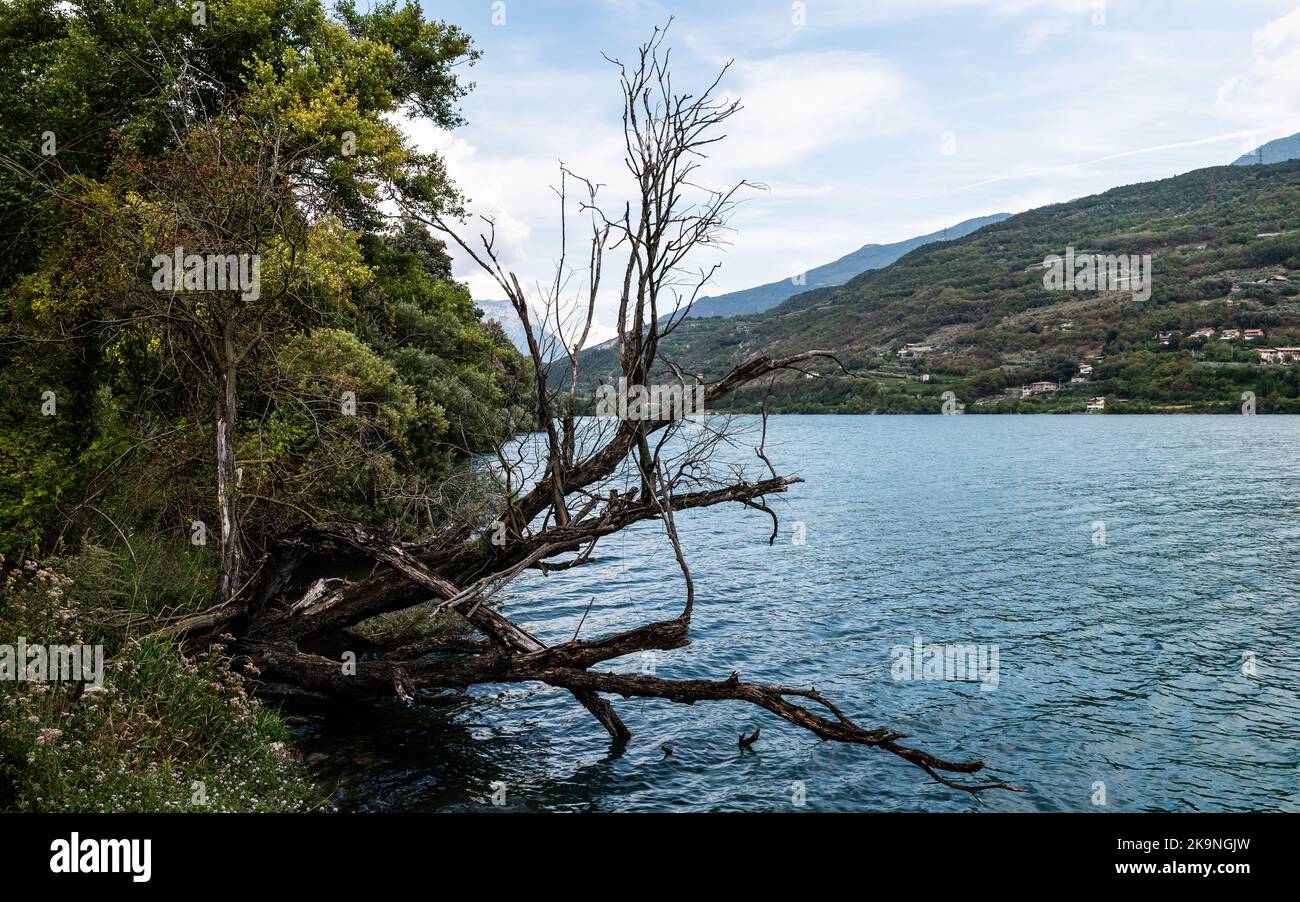 Il lago di Cavedine è un piccolo bacino artificiale che offre natura e sport - provincia di Trento - Trentino Alto Adige - Italia settentrionale Foto Stock