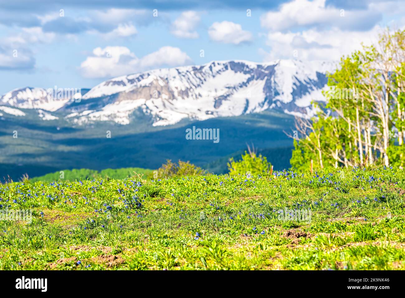 Monte Crested Butte località sciistica, contea di Gunnison con vista sulla campagna in fattoria da Snodgrass sentiero escursionistico in prato estivo con neve sulle montagne Foto Stock