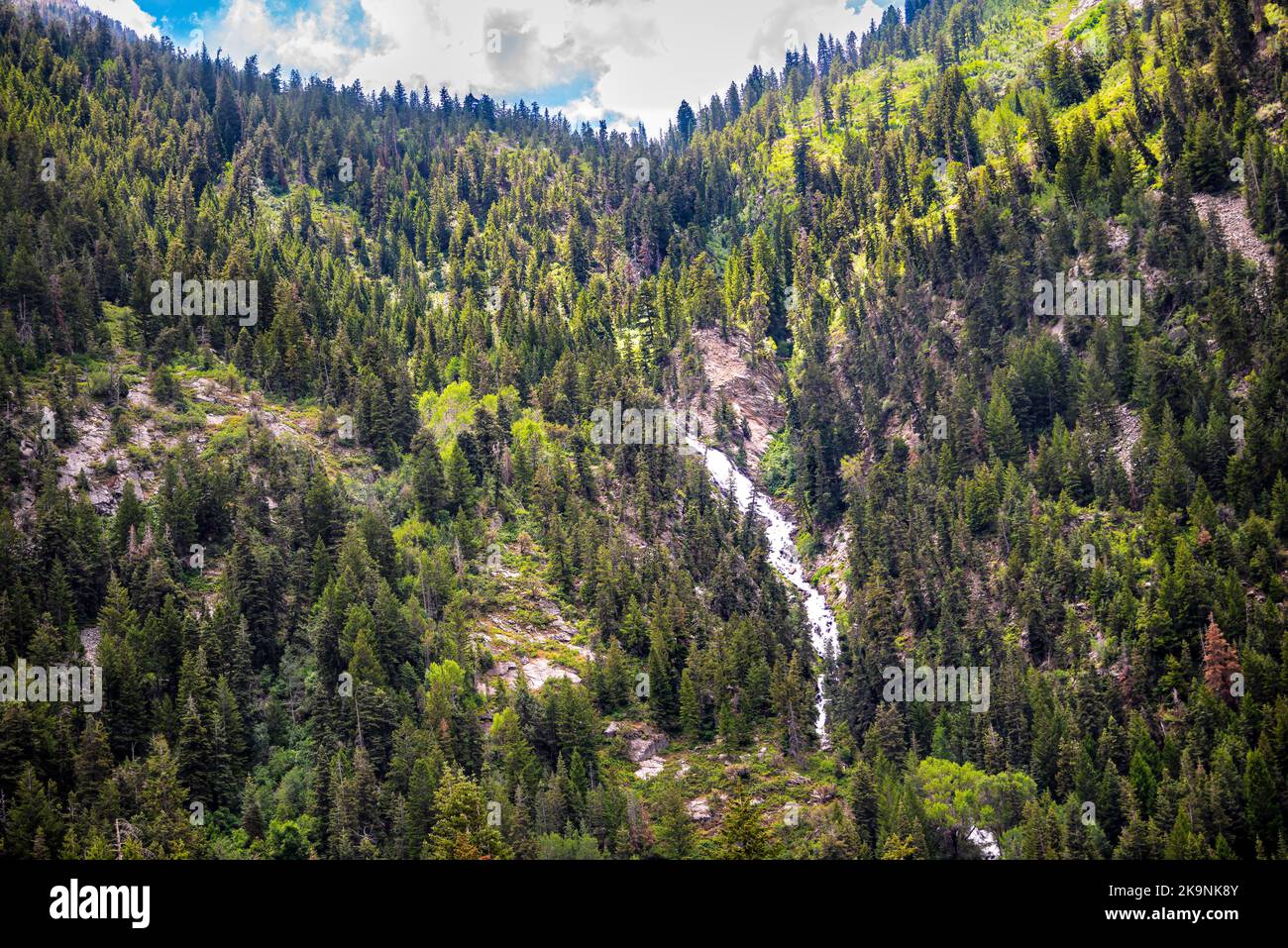 Cascata nelle montagne Wasatch di alta, Utah a Albion Basin con alberi sempreverdi pini di conifere foreste, cielo nuvole blu in estate Foto Stock