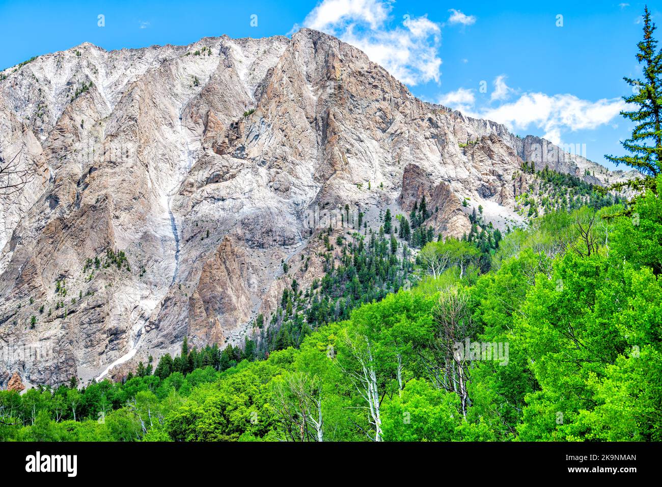 Crested Butte verdeggiante Aspen alberi vista del Kebler Pass montagna neve picco con montagne rocciose all'inizio dell'estate del 2019 Foto Stock