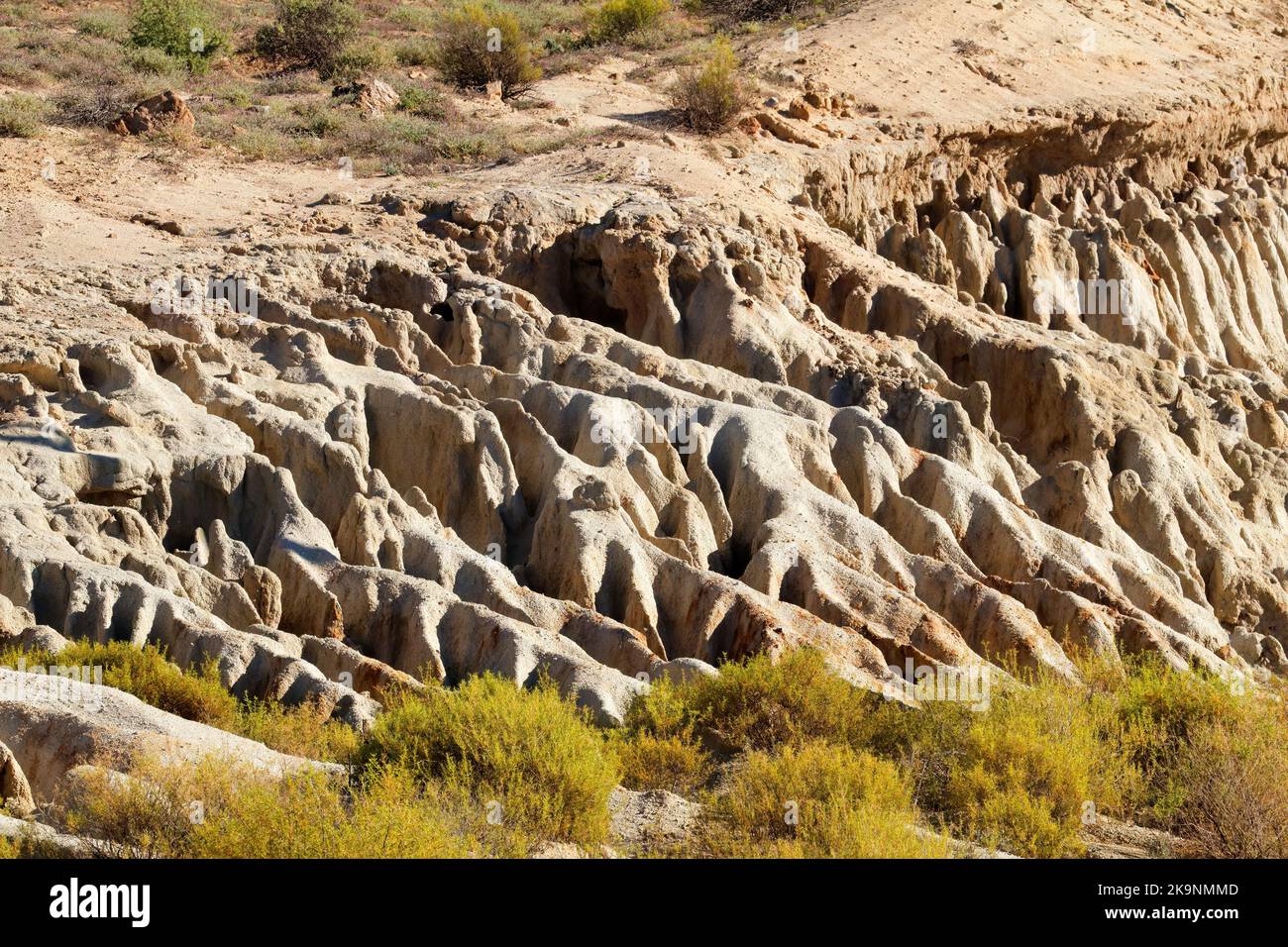 Esempio di grave erosione del suolo in una zona arida del Sud Africa Foto Stock