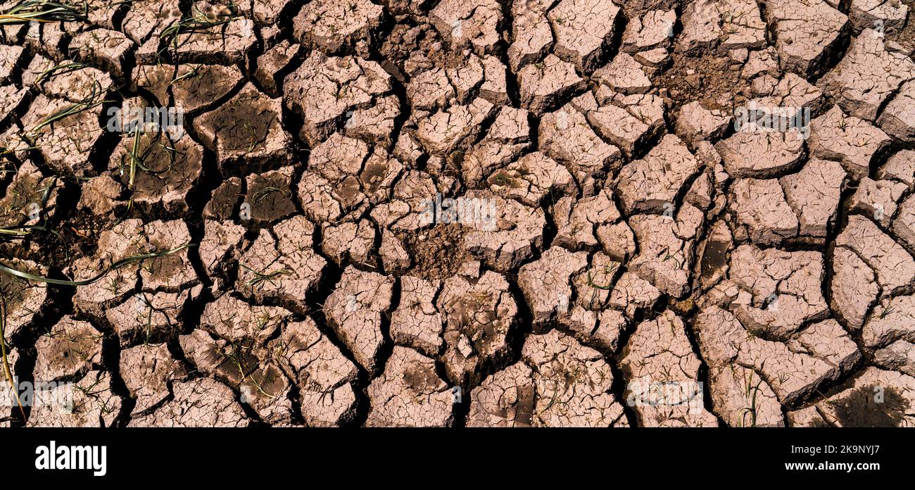 Terra asciutta e incrinata a causa di mancanza di pioggia. Effetti del cambiamento climatico come la desertificazione e la siccità. Carenza globale di acqua sul pianeta e g Foto Stock