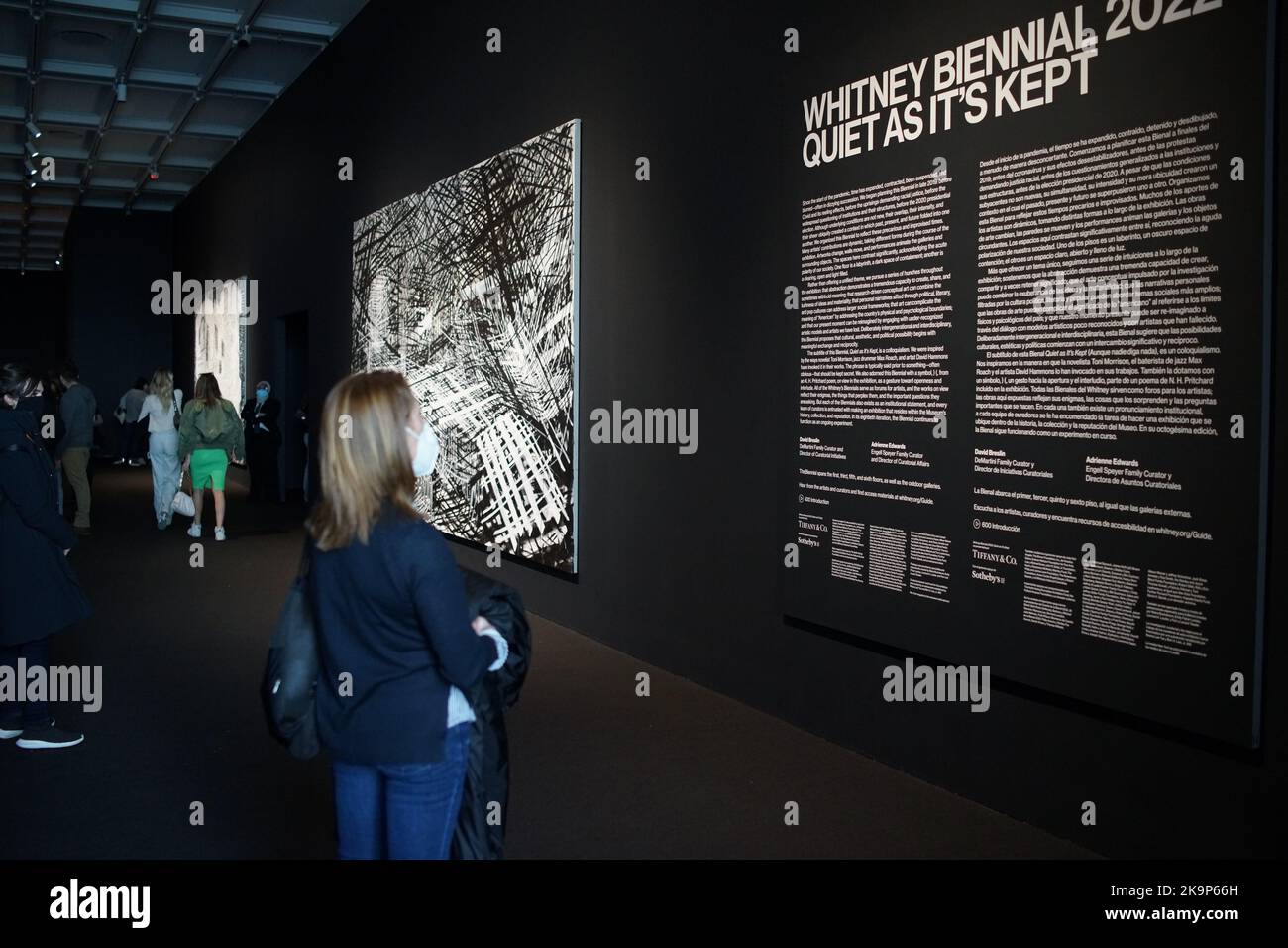 La Biennale di Whitney è una mostra biennale di arte americana contemporanea, tipicamente di artisti giovani e meno noti, in mostra al Whitney. Foto Stock