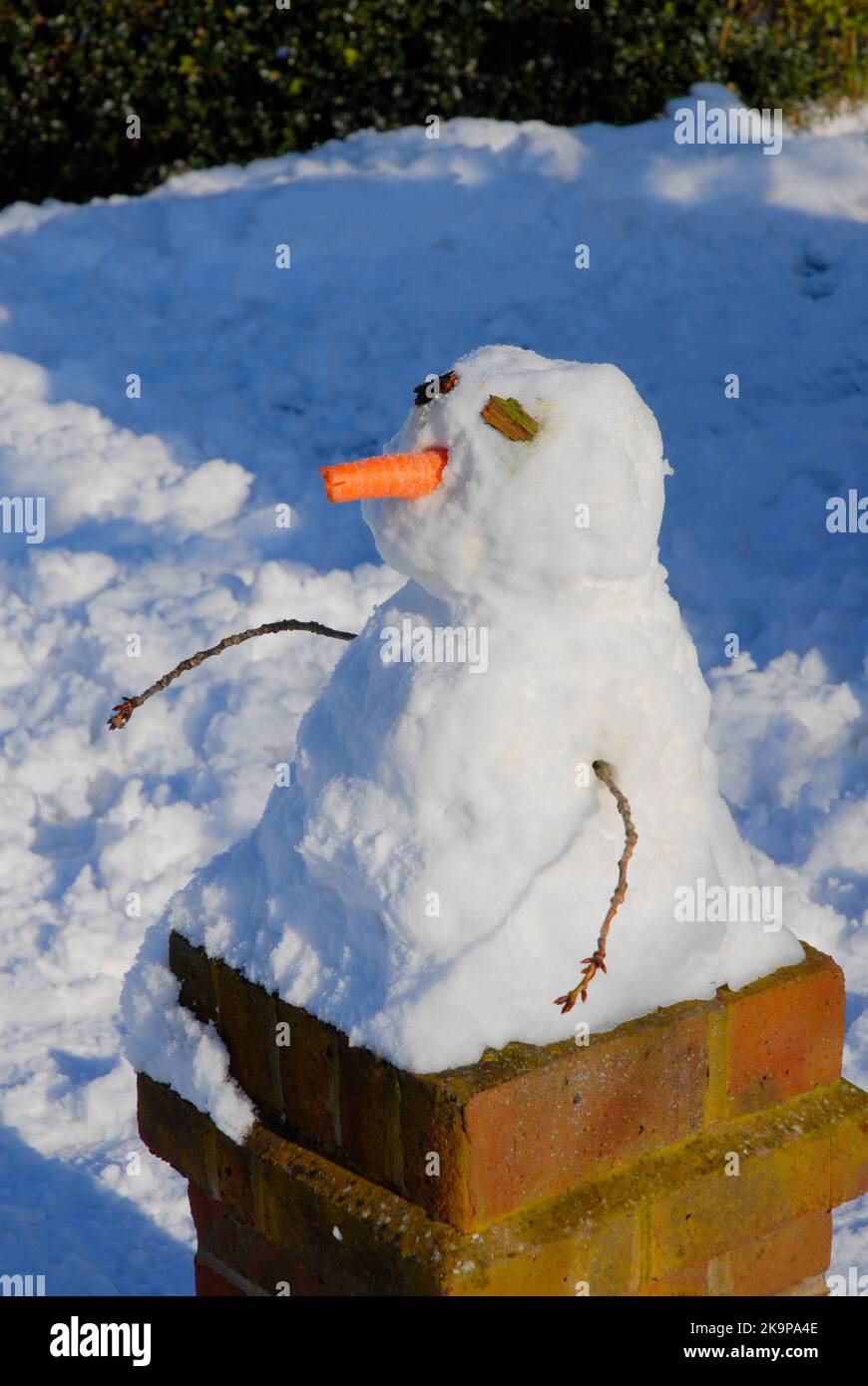 Pupazzo di neve, con ramoscelli per le armi, una carota per il naso, e pezzi di corteccia per gli occhi nel giardino di casa suburbana Foto Stock