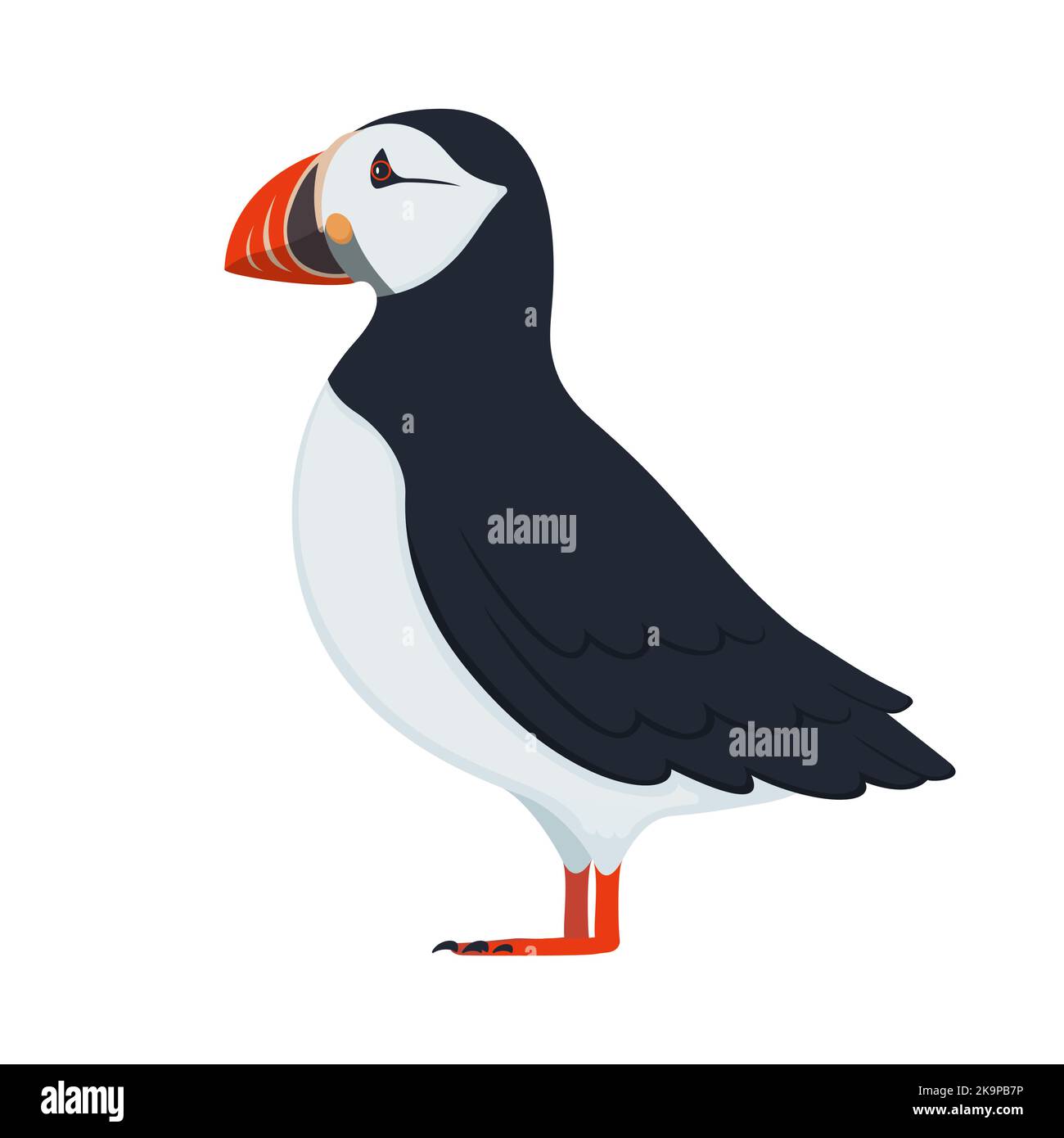 Uccello puffin. Illustrazione vettoriale di uccelli puffin colorati isolati su bianco. Design piatto, vista laterale. Illustrazione Vettoriale