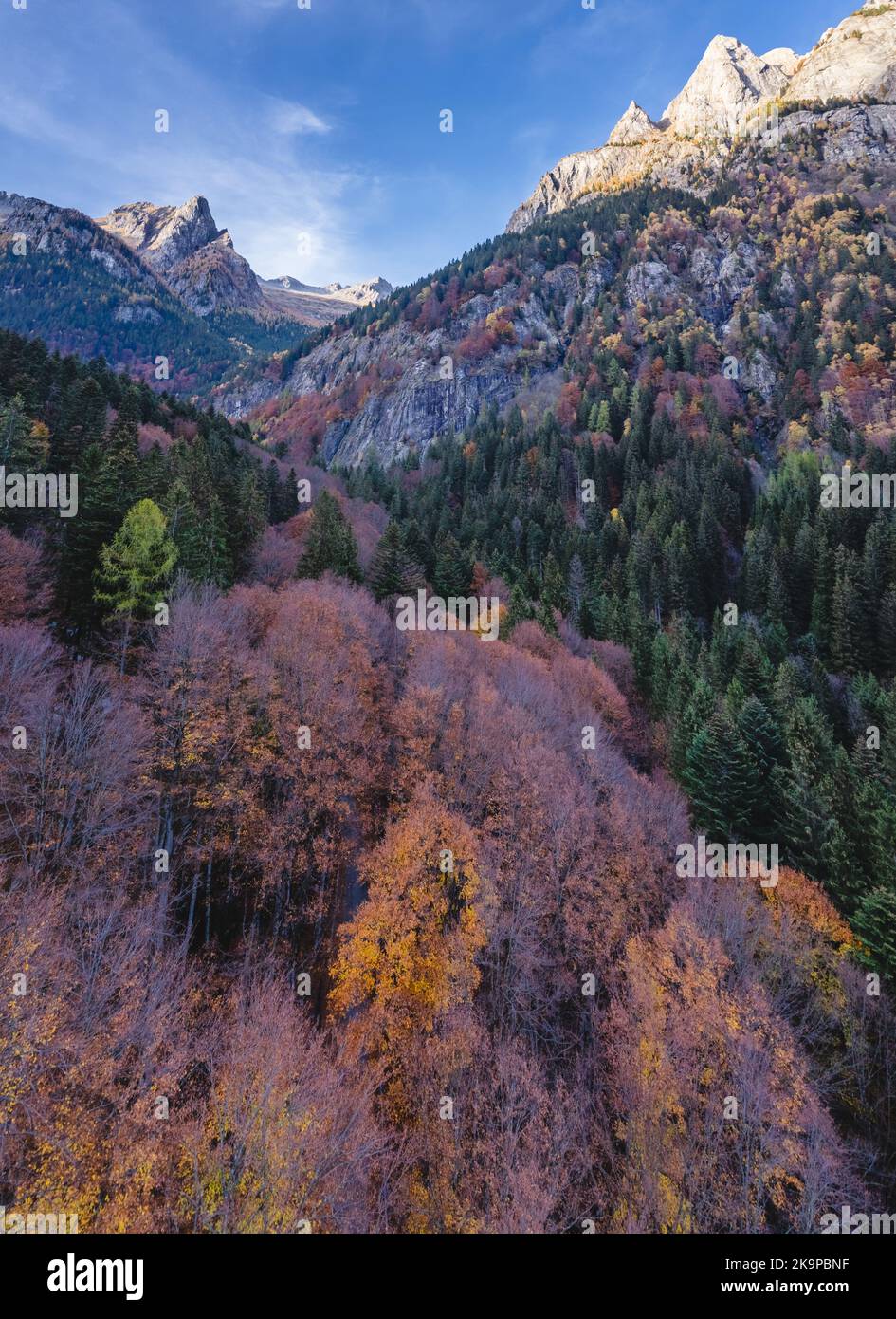 Veduta aerea della foresta in abito autunnale a bagni di Masino, Valtellina, Italia Foto Stock