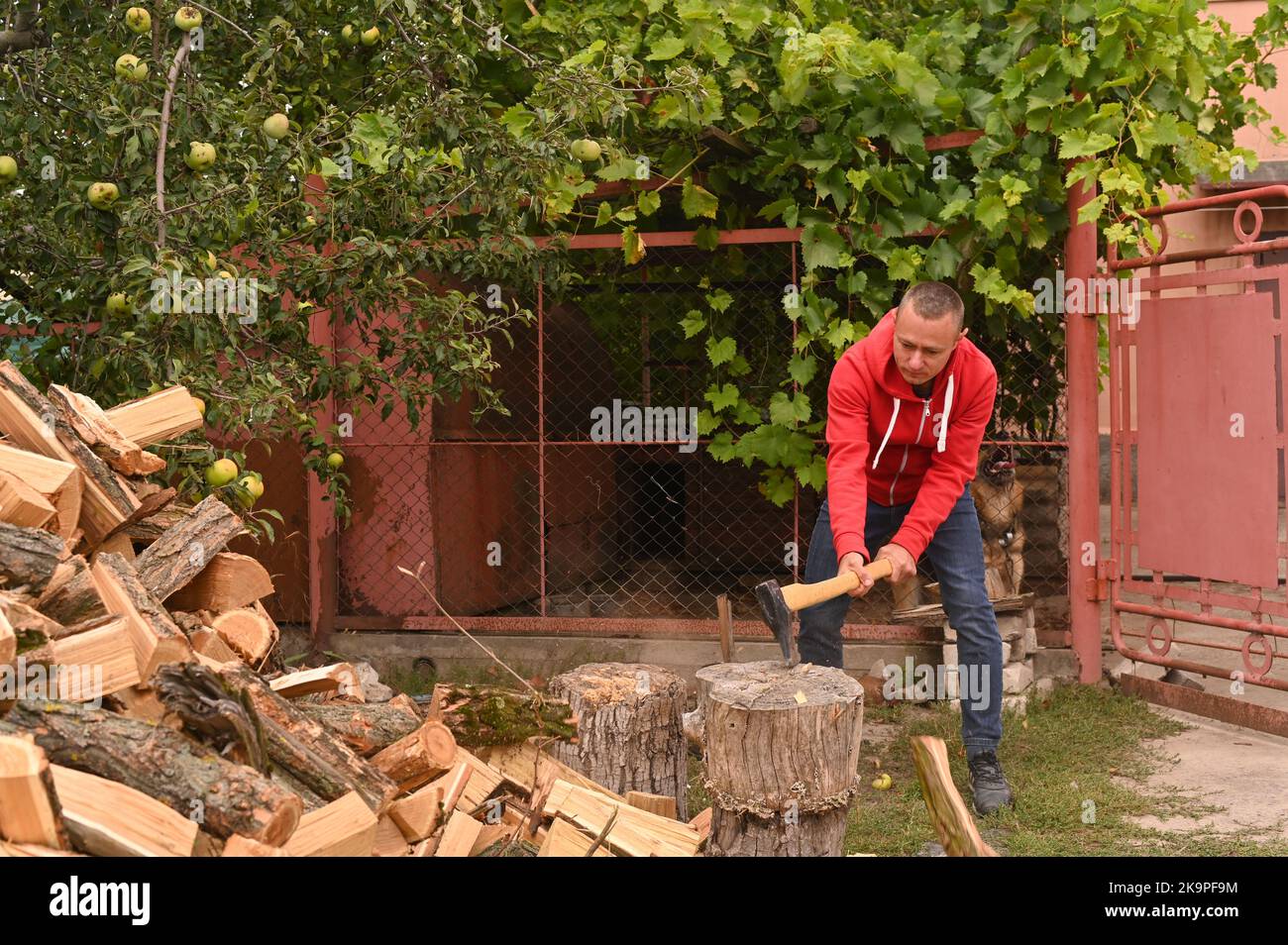 Un uomo sta tritando legna per l'inverno, un giovane sta tritando legna con un'ascia Foto Stock