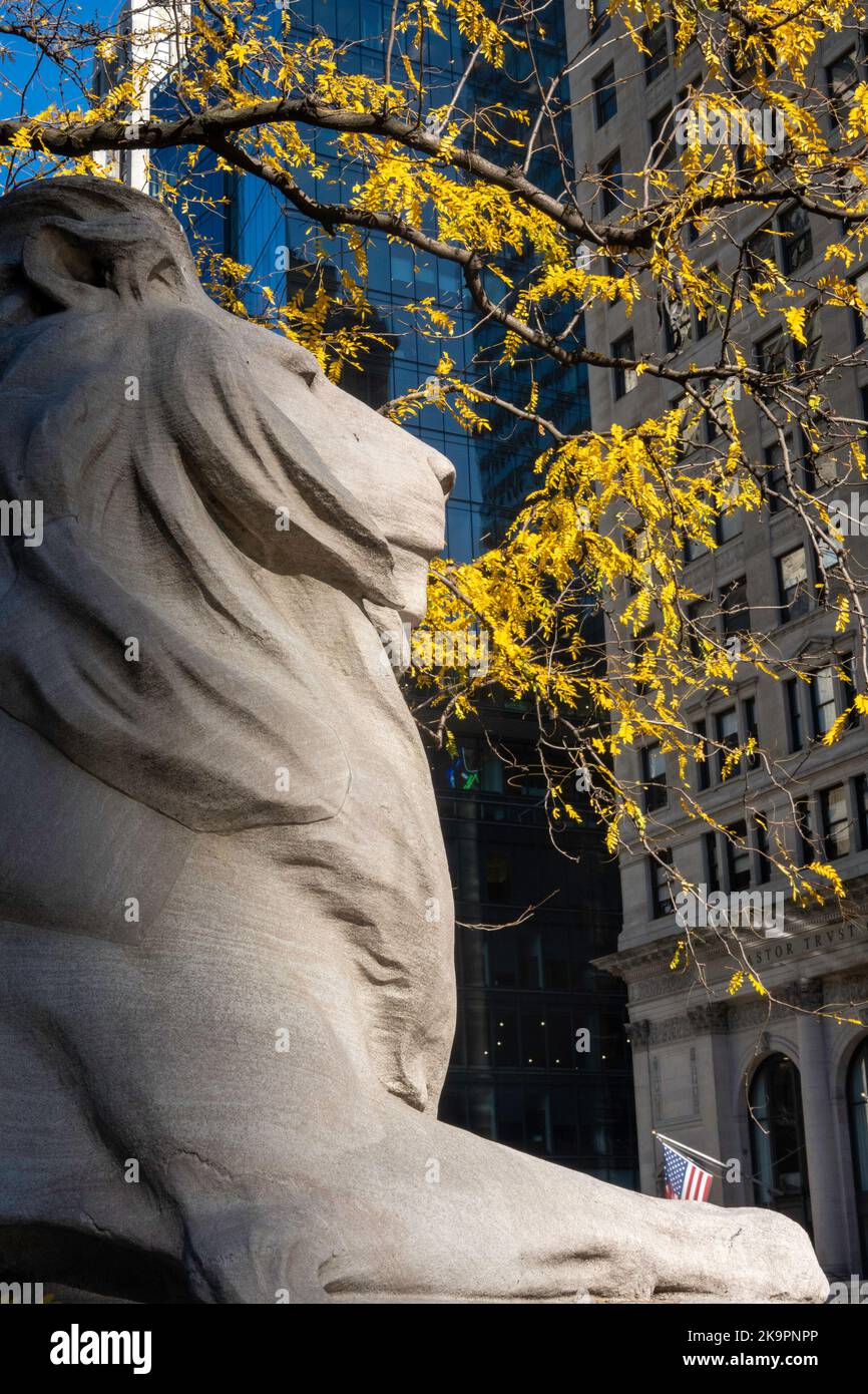 Fortezza la statua in marmo del leone è un simbolo iconico a New York City, USA 2022 Foto Stock