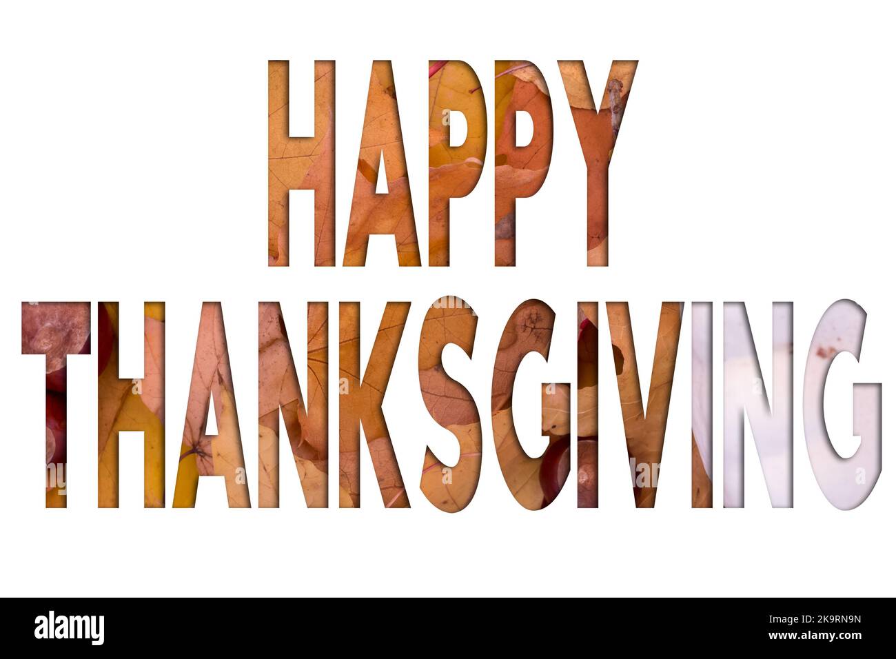 Foglie autunnali, oggetti con testo del Ringraziamento. Motivi naturali, design a colori. Foto Stock