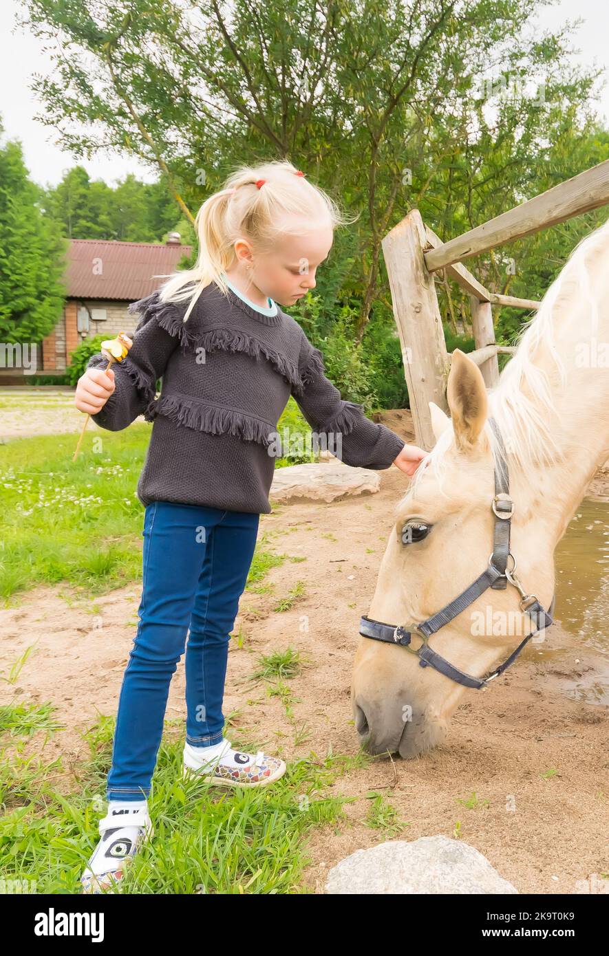 bambina vicino a cavallo e altri animali Foto Stock