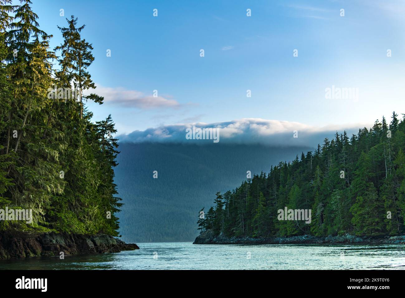 Clayoquot Sound Inlet a Tofino, Vancouver Island, Canada. Foto Stock