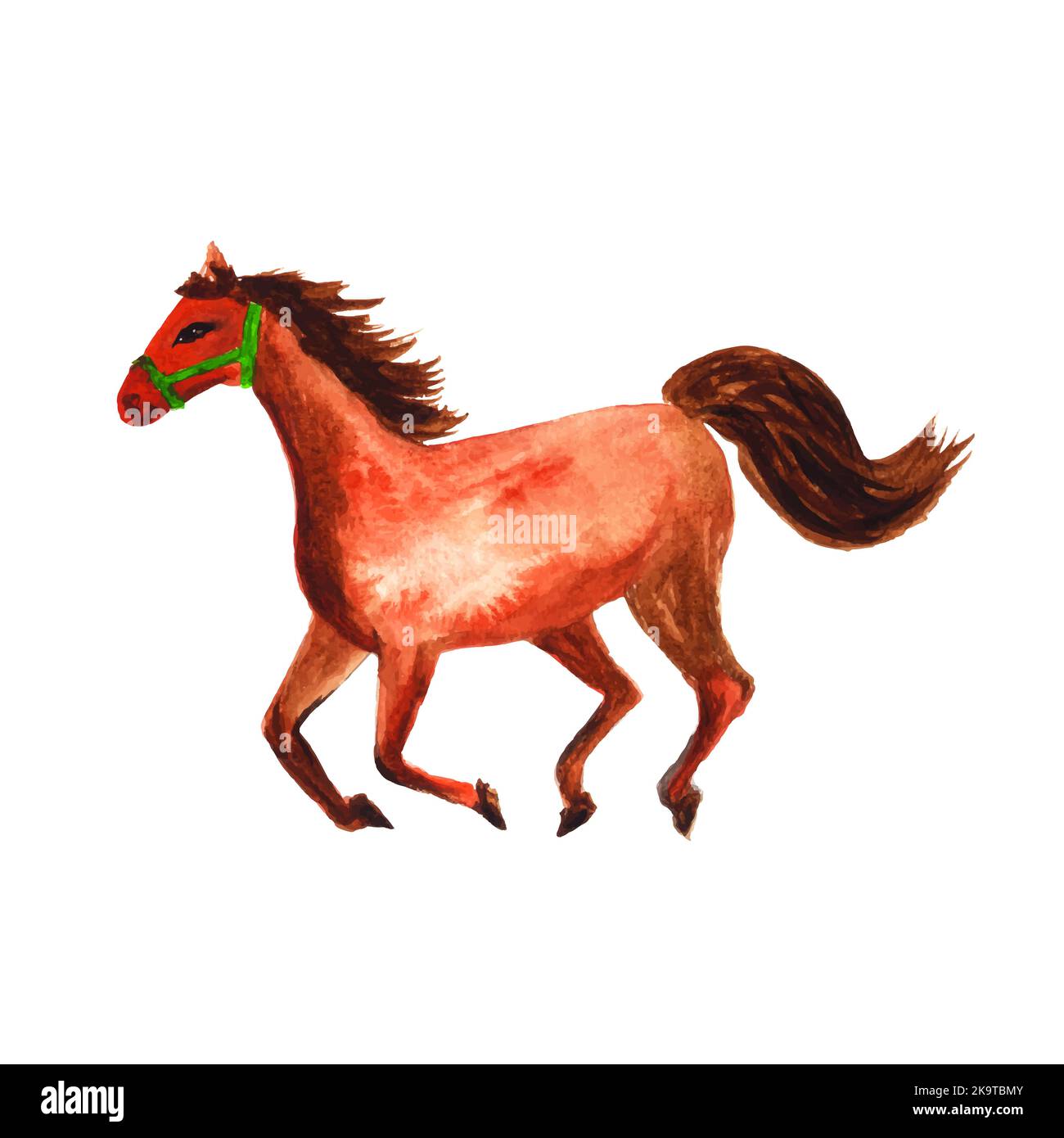 Acquerello illustrazione del cavallo da jogging Illustrazione Vettoriale