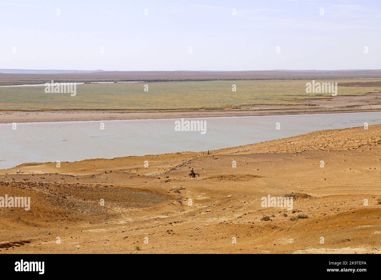 Fiume amu Darya, Meshekli, deserto di Kyzylkum, Repubblica autonoma di Karakalpakstan, Uzbekistan, Asia centrale Foto Stock