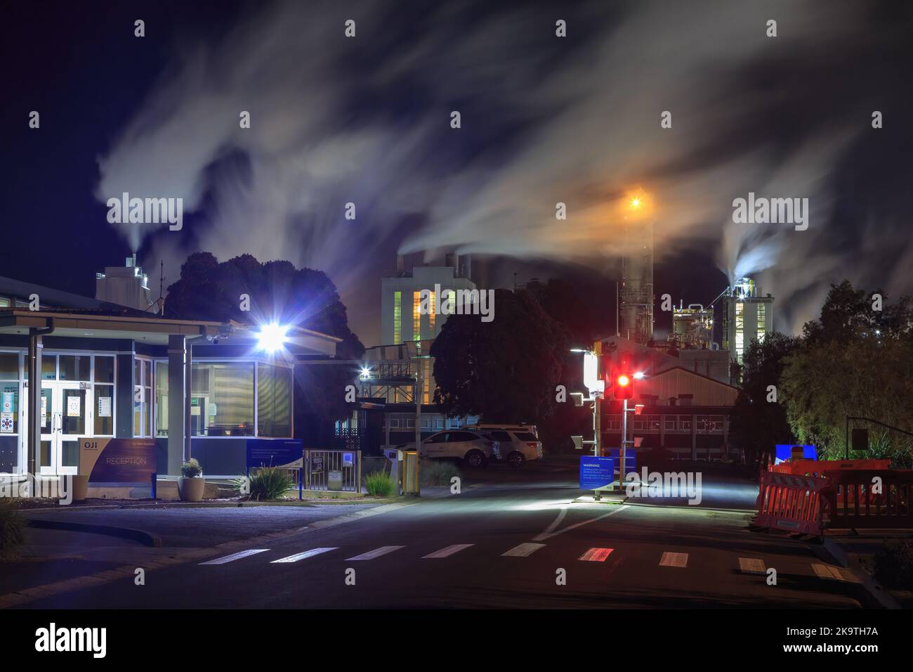 Il vapore sale dai camini della cartiera Oji Fibre Solutions a Kinleith, Nuova Zelanda, di notte Foto Stock