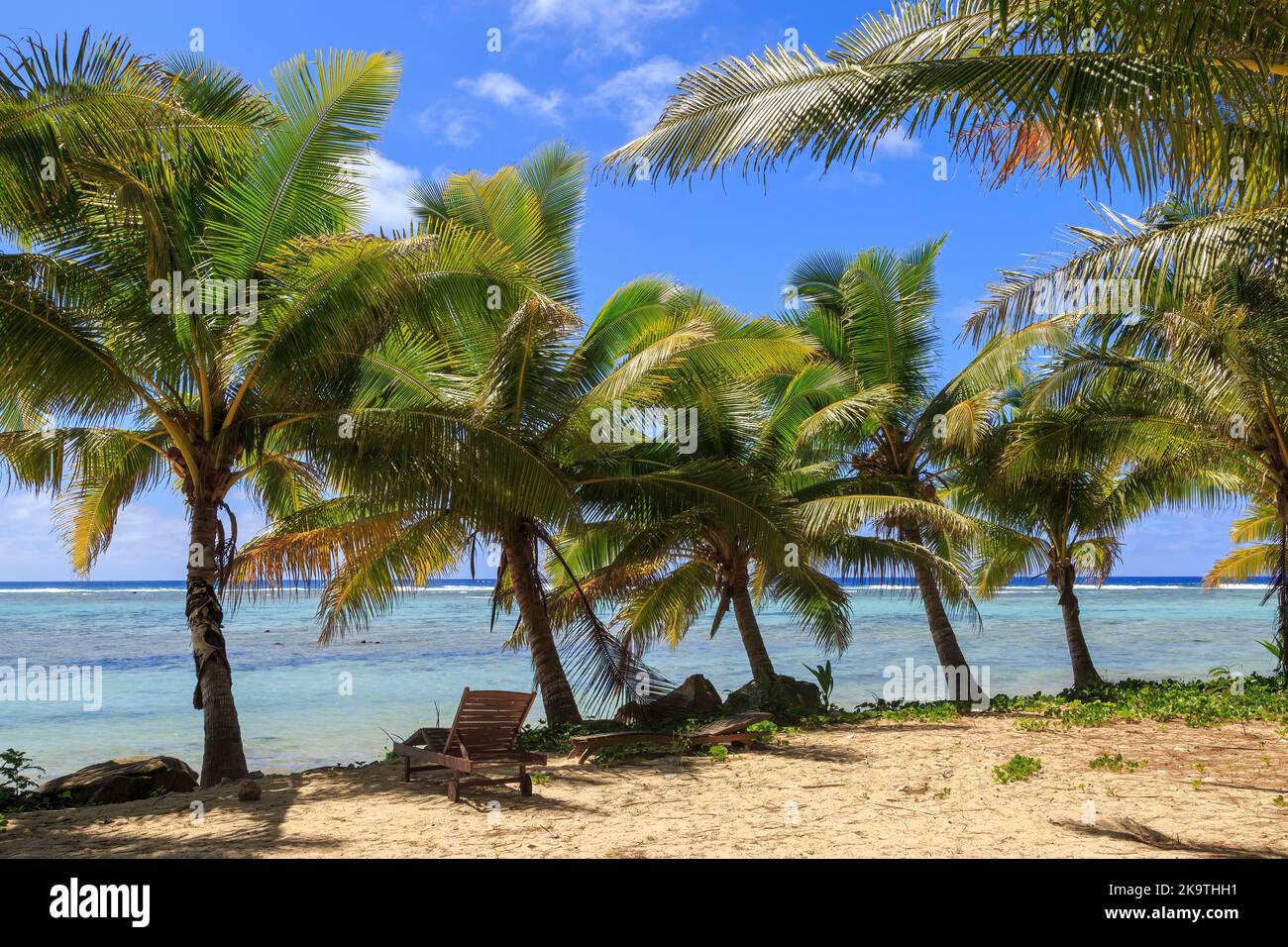 Una spiaggia a Rarotonga nelle Isole Cook, con un lettino all'ombra di una fila di palme da cocco Foto Stock
