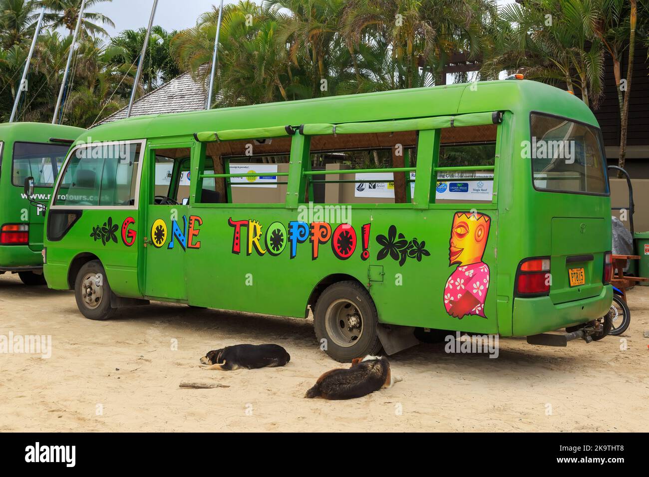Un tour in autobus 'Gone Troppo' sull'isola di Rarotonga nelle Isole Cook. Due cani addormentati si trovano accanto ad esso Foto Stock