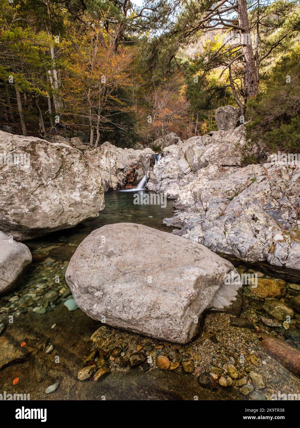 Il fiume l'Agnone cade sulle rocce in piscine naturali nella foresta di Vizzavona lungo il sentiero GR20 in Corsica Foto Stock