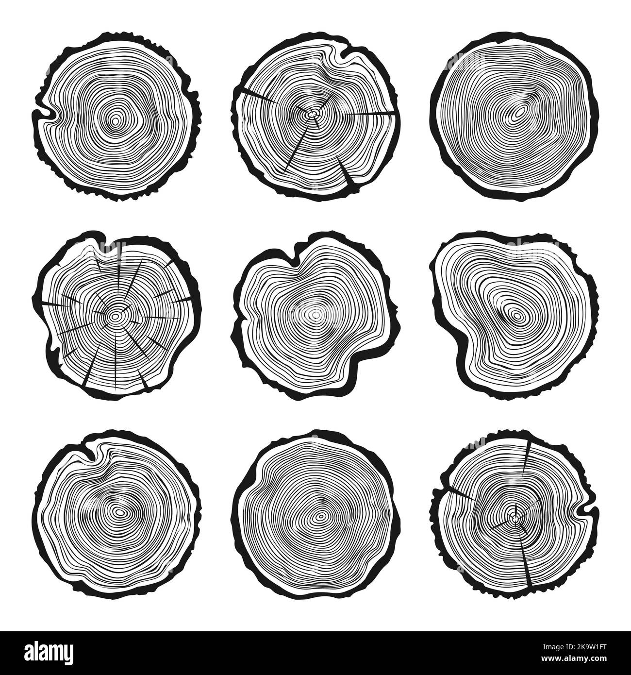 Tagli di tronco di albero tondo con crepe, segato pino o fette di quercia, legname. Legname tagliato da poco, legno. Tessitura di legno con anelli di albero. Schizzo disegnato a mano. Vettore Illustrazione Vettoriale