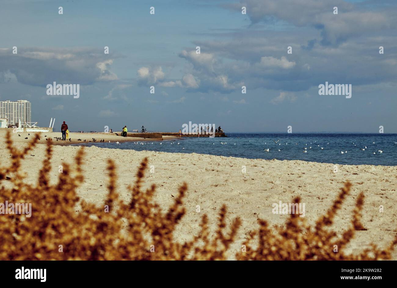 Autunno spiaggia, gabbiani in acqua e pescatori sul molo sulle nuvole e cielo blu in Odessa Ucraina Foto Stock