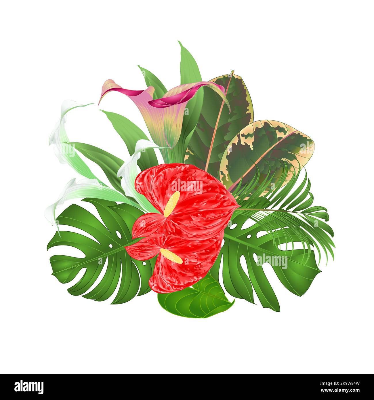 Tropicale, fiori, gigli, Cala, anthurium, fiore, vettore, ficus, floreale, disegno a mano , acquerello, motivo, estate, Sfondo, hawaiano, retro, foglia, ha Illustrazione Vettoriale