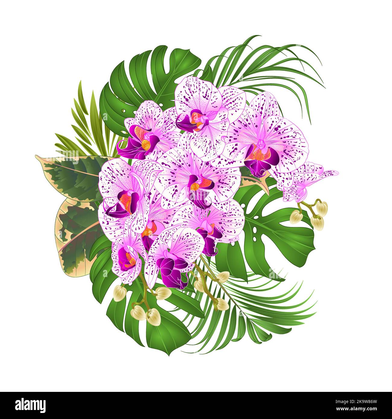 Bouquet con fiori tropicali floreali, con bella orchidea viola e bianco, palma, filodendro e ficus vintage vettore illustrazione ed Illustrazione Vettoriale