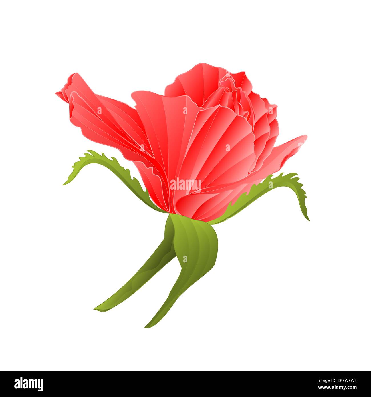 Rosa rosa rosa e foglie vintage su uno sfondo bianco vettore illustrazione modificabile disegno a mano Illustrazione Vettoriale