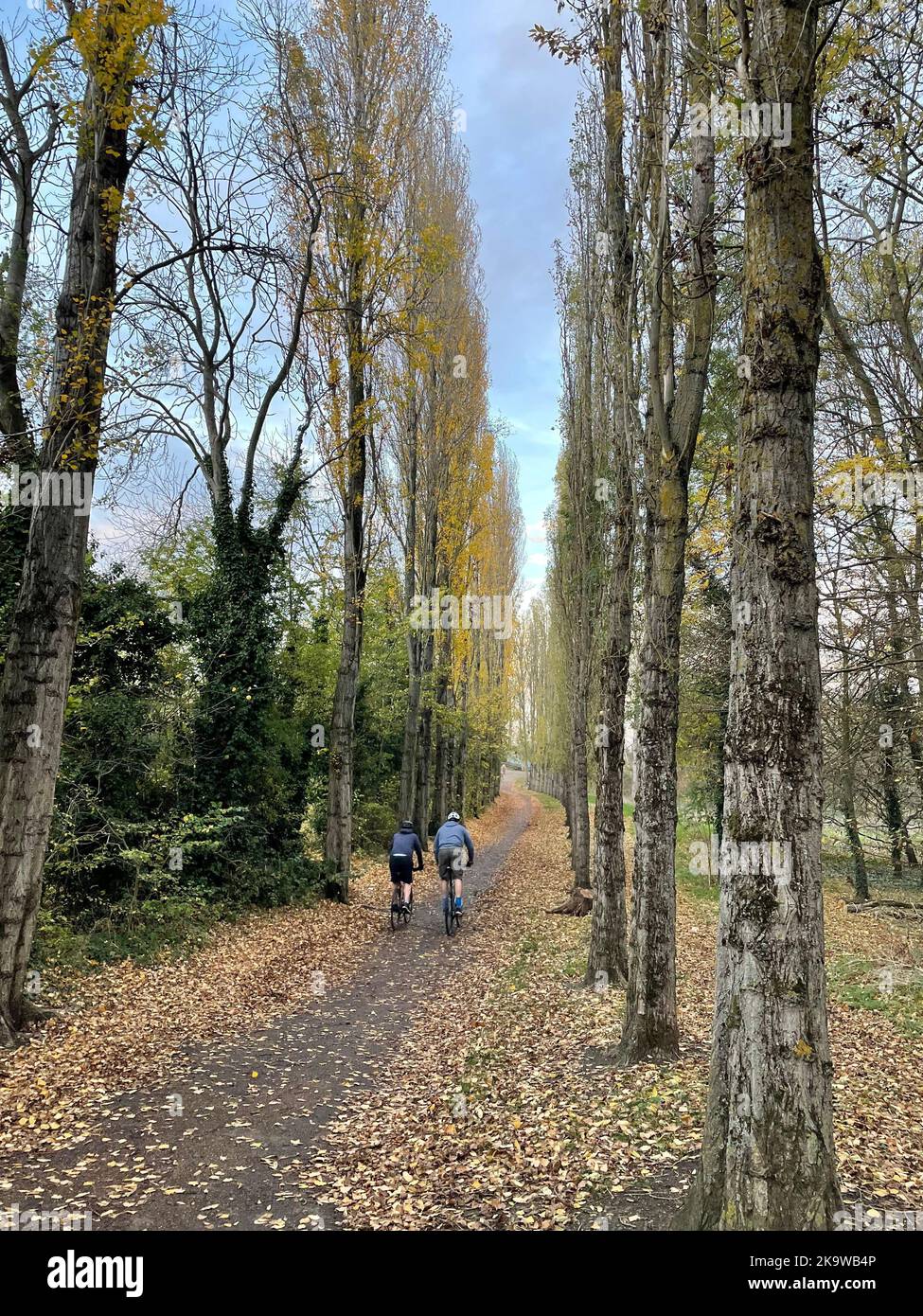 Ciclisti su un sentiero in autunno a Milton Keynes con copyspace. Foto Stock