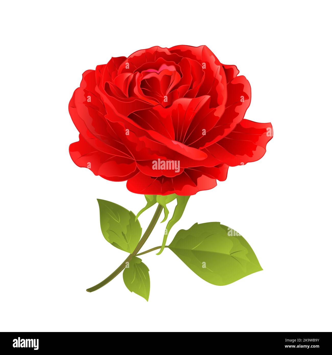 Fiore rosso rosa su uno sfondo bianco ramoscello con foglie vintage vettore illustrazione modificabile mano disegno Illustrazione Vettoriale