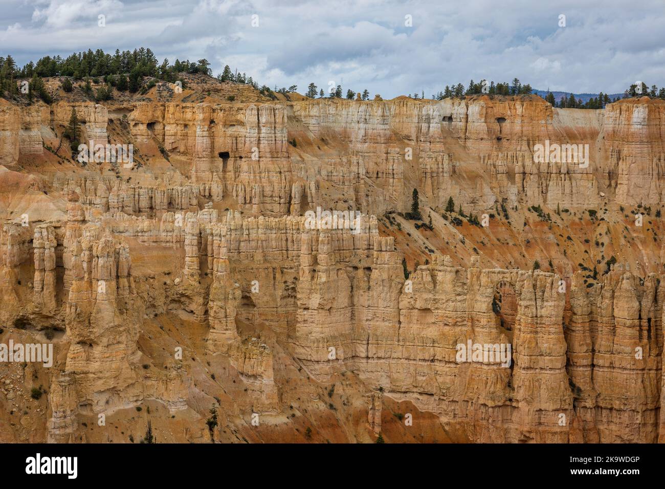 Il Bryce Canyon, nello Utah, è famoso per le sue formazioni rocciose geologiche. A causa del congelamento e dello scongelamento, le formazioni calcaree e arenaria sono lentamente eriche Foto Stock